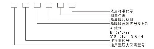YMG系列不锈钢法兰式隔膜压力表